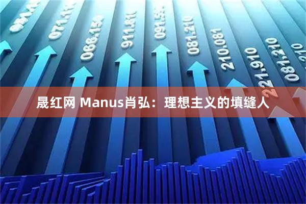 晟红网 Manus肖弘：理想主义的填缝人