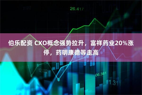 伯乐配资 CXO概念强势拉升,富祥药业20%涨停,药明康德等走高