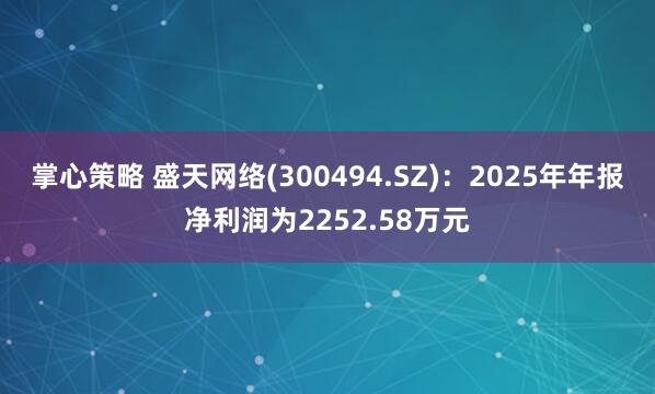 掌心策略 盛天网络(300494.SZ)：2025年年报净利润为2252.58万元