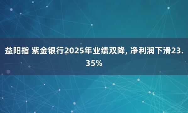 益阳指 紫金银行2025年业绩双降, 净利润下滑23.35%