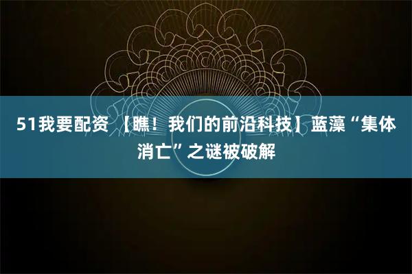 51我要配资 【瞧!我们的前沿科技】蓝藻“集体消亡”之谜被破解