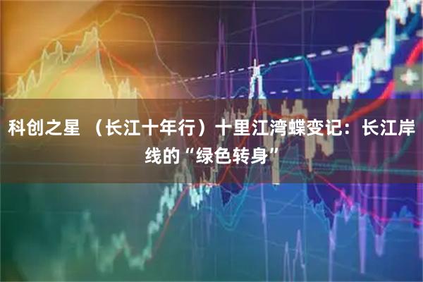 科创之星 （长江十年行）十里江湾蝶变记：长江岸线的“绿色转身”