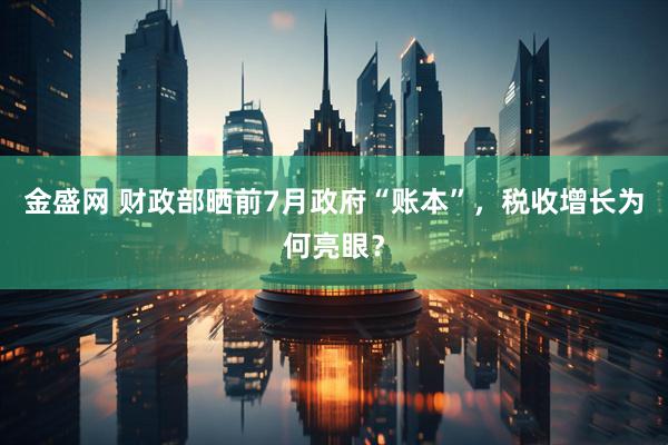 金盛网 财政部晒前7月政府“账本”，税收增长为何亮眼？